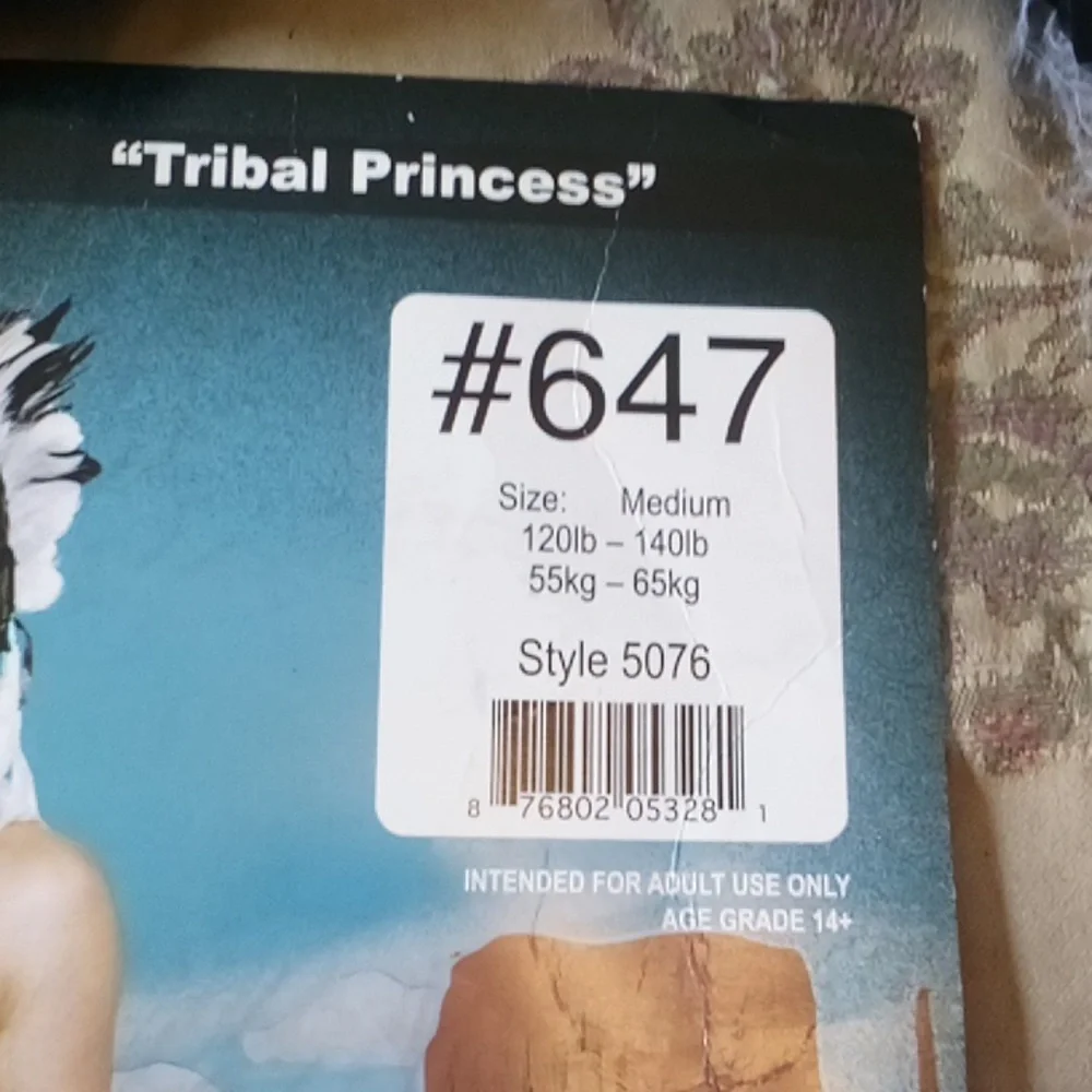 American Indian Costume -  Extra, &  Cool Headresses Short Fringed Black Dress - Picture 5 of 11